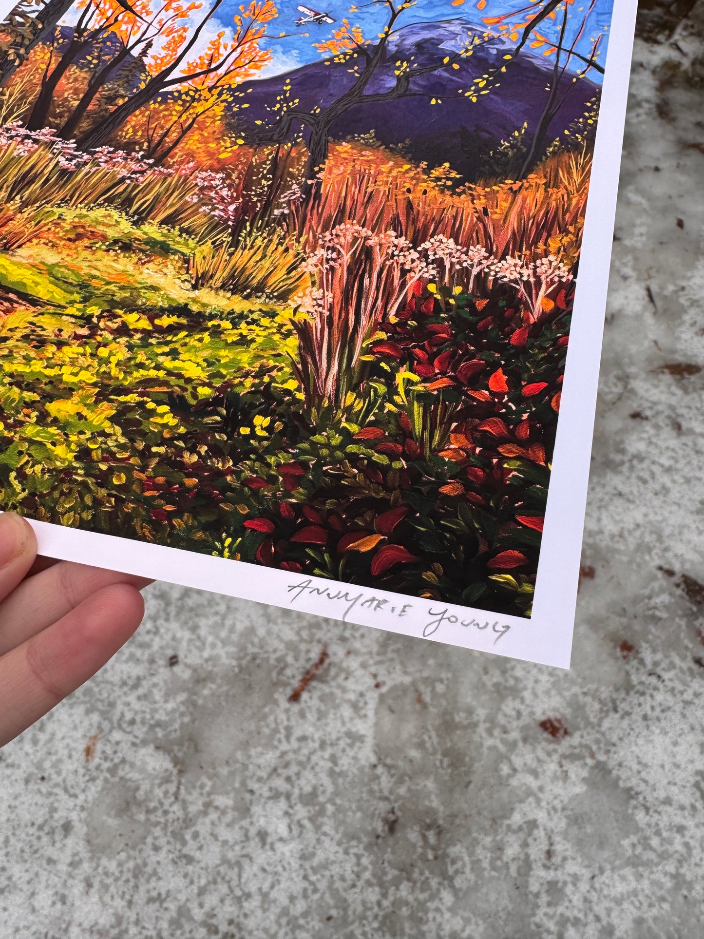 painting of colorful Alaskan landscape with small plain flying overhead by artist AnnMarie Henderson