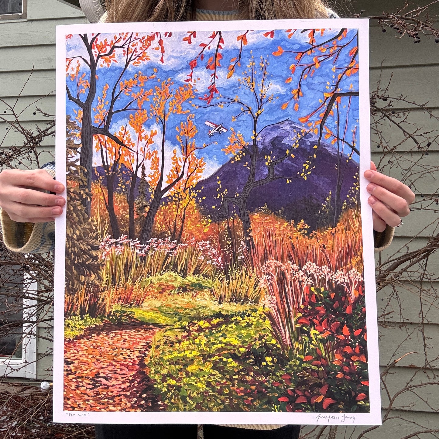 painting of colorful Alaskan landscape with small plain flying overhead by artist AnnMarie Henderson